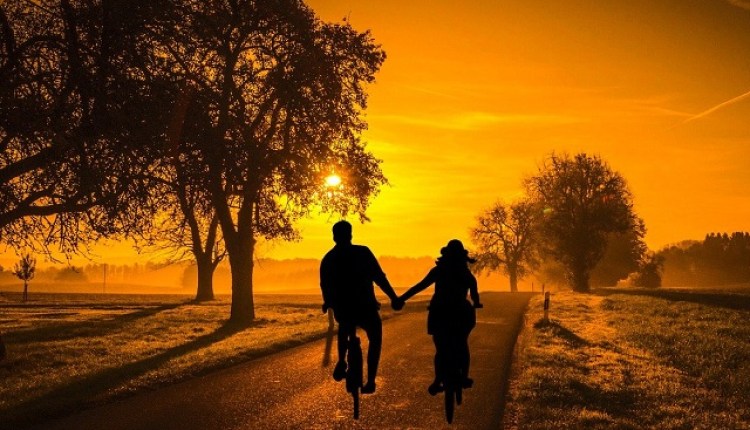 sister wife sister wife