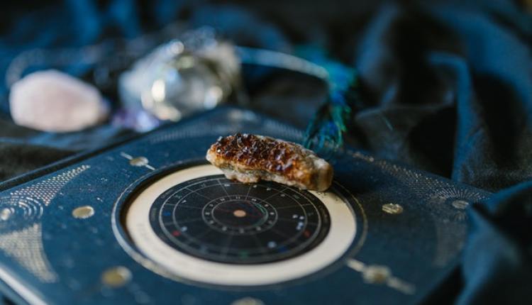 zodiac signs zodiac signs