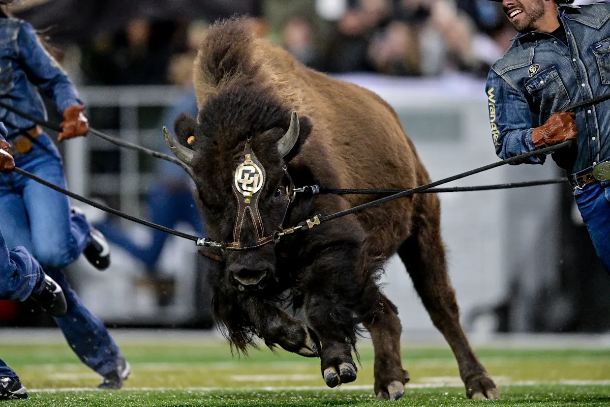 Nationwide Signing Day 2025: Colby Johnson is a Buff Nationwide Signing Day 2025: Colby Johnson is a Buff