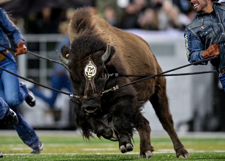 Nationwide Signing Day 2025: Colby Johnson is a Buff Nationwide Signing Day 2025: Colby Johnson is a Buff