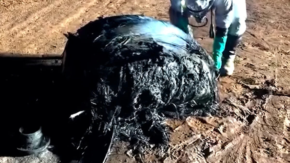 Video exhibits suspected area junk being discovered on distant Australian highway Video exhibits suspected area junk being discovered on distant Australian highway