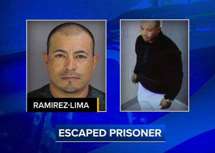 Man with a number of warrants stays at massive after escaping police in Chester County Man with a number of warrants stays at massive after escaping police in Chester County