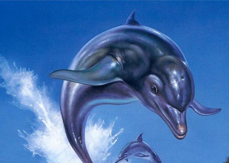 Ecco the Dolphin: Full will mix remasters and a sequel into one bundle Ecco the Dolphin: Full will mix remasters and a sequel into one bundle