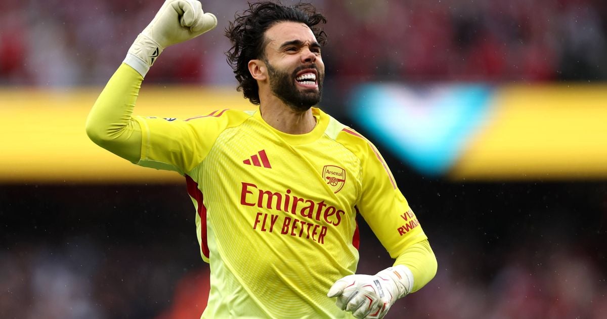 Arsenal’s David Raya clinches Golden Glove for third 12 months operating, one away from equalling all-time mark Arsenal’s David Raya clinches Golden Glove for third 12 months operating, one away from equalling all-time mark