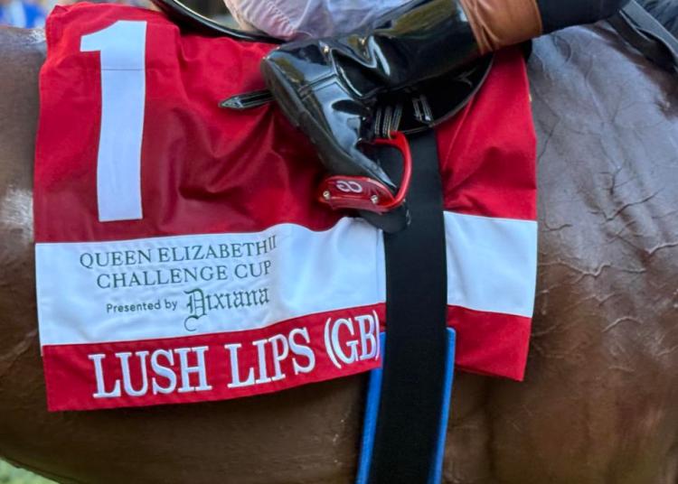 Grade 1 Jenny Wiley Stakes At Keeneland A Wagering Paradise Grade 1 Jenny Wiley Stakes At Keeneland A Wagering Paradise