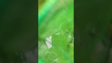 samsung para A1,A2,3A samsung para A1,A2,3A