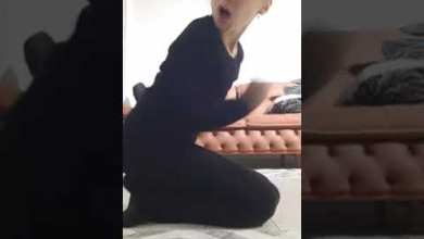 25 ნოემბერი, 2023 25 ნოემბერი, 2023