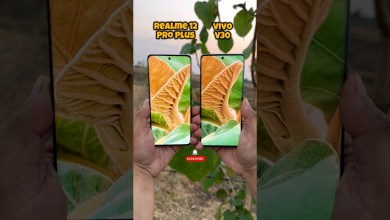 Realme 12 Pro Plus vs Vivo V30 Camera Comparison Realme 12 Pro Plus vs Vivo V30 Camera Comparison