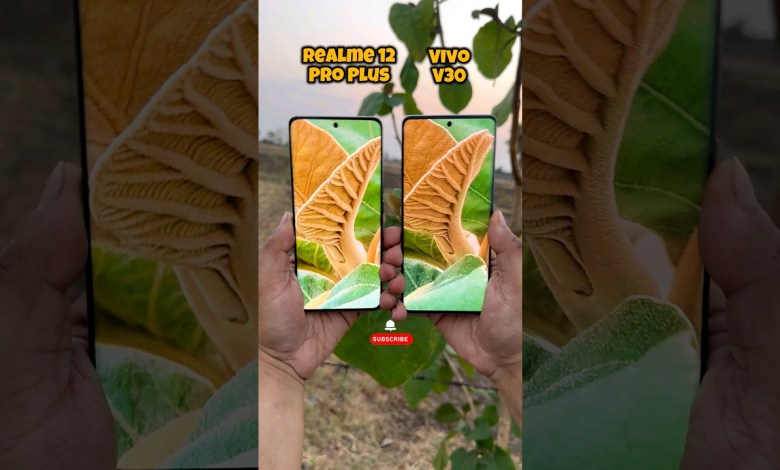 Realme 12 Pro Plus vs Vivo V30 Camera Comparison Realme 12 Pro Plus vs Vivo V30 Camera Comparison