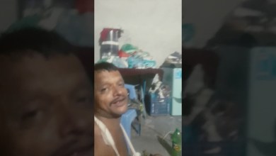 2 August 2024 2 August 2024