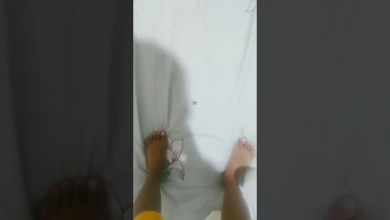 15 June 2024 15 June 2024