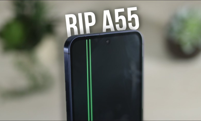 I bought the Samsung Galaxy A55 and it has 3 BIG ones I bought the Samsung Galaxy A55 and it has 3 BIG ones