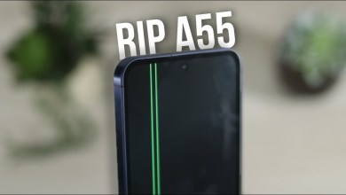 I bought the Samsung Galaxy A55 and it has 3 BIG ones I bought the Samsung Galaxy A55 and it has 3 BIG ones
