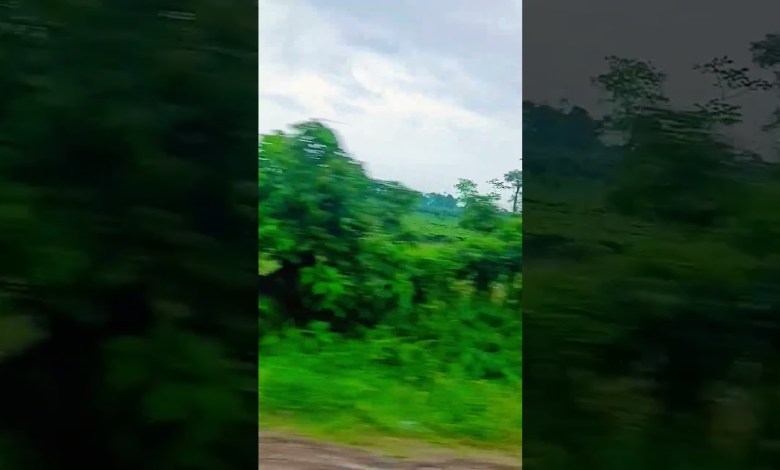 #Islamic_Video #viral #allah #travel #Islamic_Video #viral #allah #travel
