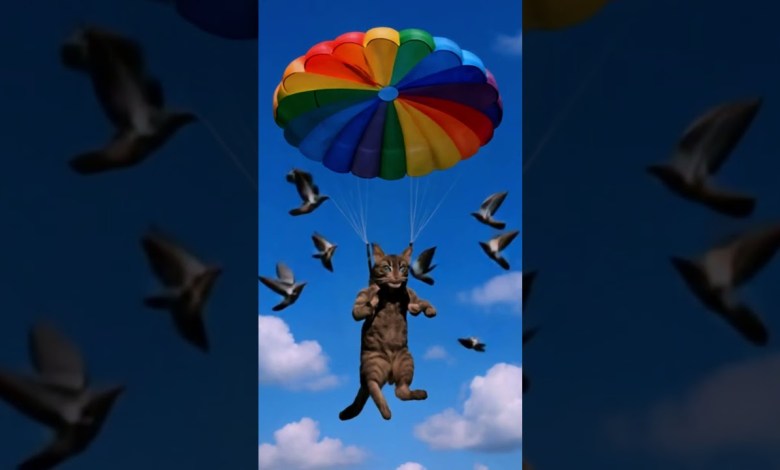 Have You Ever Seen a Cat Ascend to the Heavens? Have You Ever Seen a Cat Ascend to the Heavens?