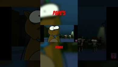 nyt power of pape nyt power of pape