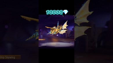 NOOB TO PRO JOURNEY SKYWINGS para SAMSUNG NOOB TO PRO JOURNEY SKYWINGS para SAMSUNG