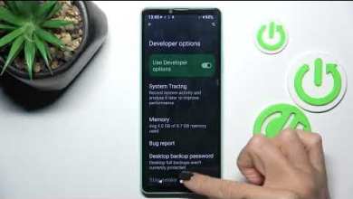 How to Enable Developer Options on Sony Xperia 1 VI? How to Enable Developer Options on Sony Xperia 1 VI?