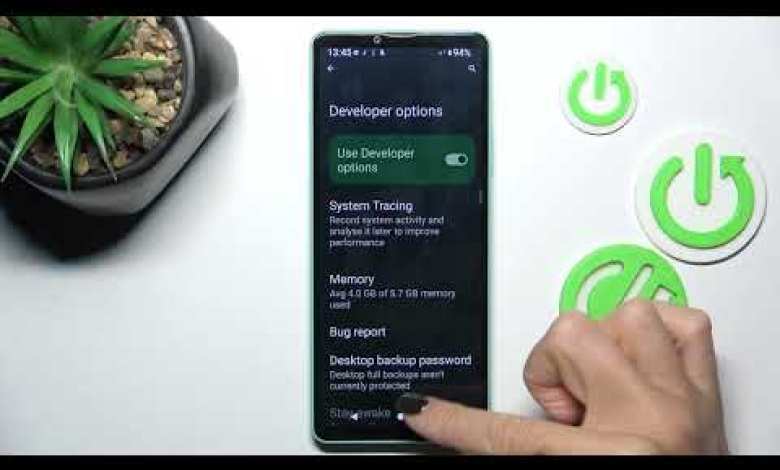 How to Enable Developer Options on Sony Xperia 1 VI? How to Enable Developer Options on Sony Xperia 1 VI?