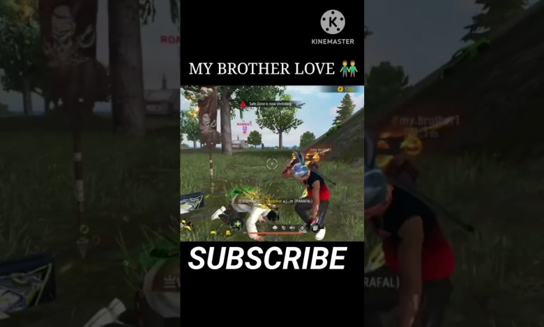 brother love brother love