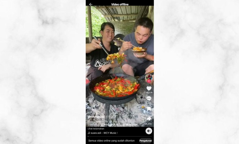 How to Watch Tiktok Videos Offline Without How to Watch Tiktok Videos Offline Without