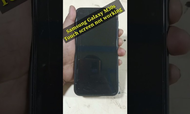 Samsung Galaxy M30s Touch screen not working Samsung Galaxy M30s Touch screen not working