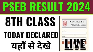 pseb 8th class result 2024 kaise dekhe, how to check pseb 8th class result 2024 kaise dekhe, how to check