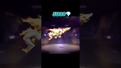 NOOB TO PRO JOURNEY PARAFAL para SAMSUNG NOOB TO PRO JOURNEY PARAFAL para SAMSUNG