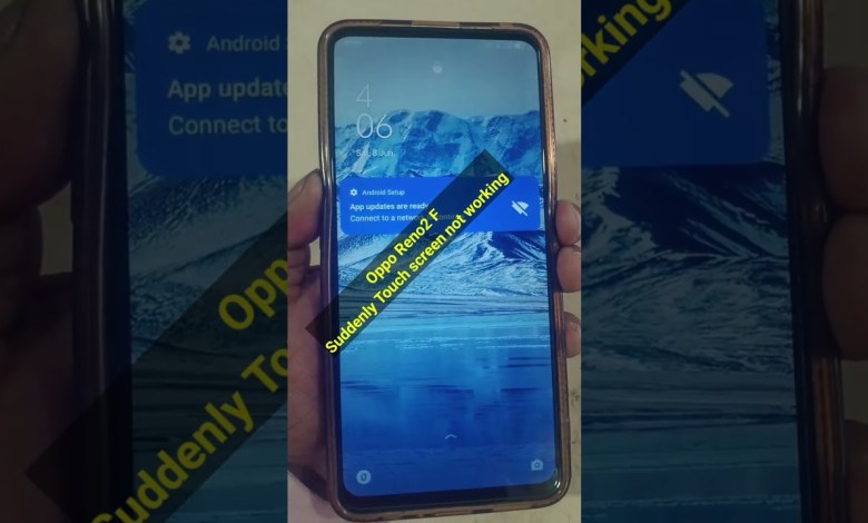 Realme Reno2 F Touch screen not working Realme Reno2 F Touch screen not working