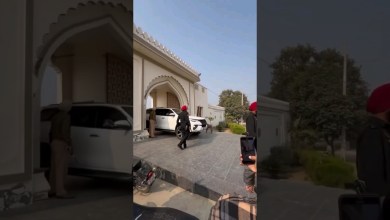 हवेली पर #viral #shortvideo #sidhumoosewala #shortvideo हवेली पर #viral #shortvideo #sidhumoosewala #shortvideo