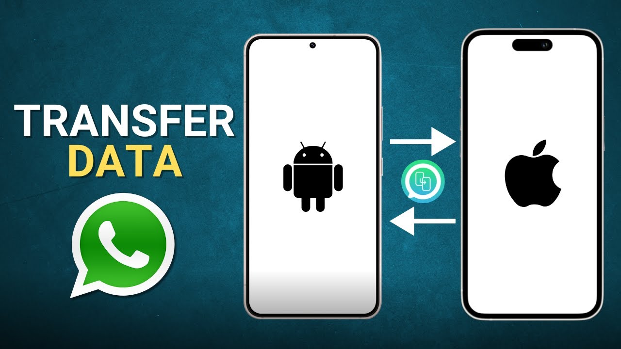 How to Transfer All WhatsApp Data From Android to How to Transfer All WhatsApp Data From Android to