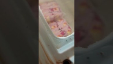 16 เมษายน ค.ศ. 2024 16 เมษายน ค.ศ. 2024