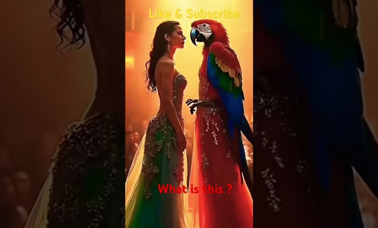 Where did the pigeon go? – Curiosity Kithe Chali Kithe Chali Bank K Kabutari #shorts Where did the pigeon go? – Curiosity Kithe Chali Kithe Chali Bank K Kabutari #shorts