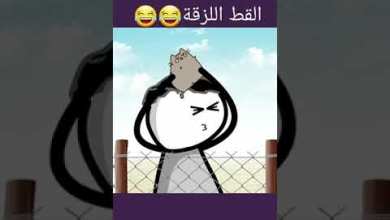 ٢٠ تشرين الثاني ٢٠٢٣ ٢٠ تشرين الثاني ٢٠٢٣