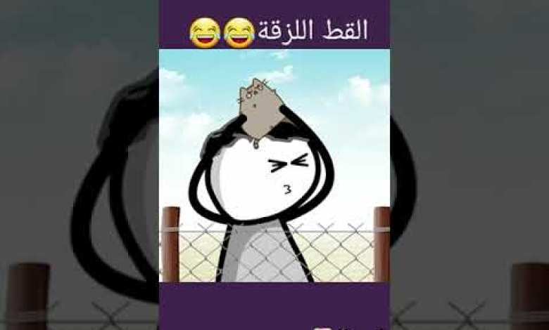 ٢٠ تشرين الثاني ٢٠٢٣ ٢٠ تشرين الثاني ٢٠٢٣