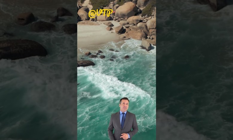 Samsung is seeking support to boost renewable Samsung is seeking support to boost renewable