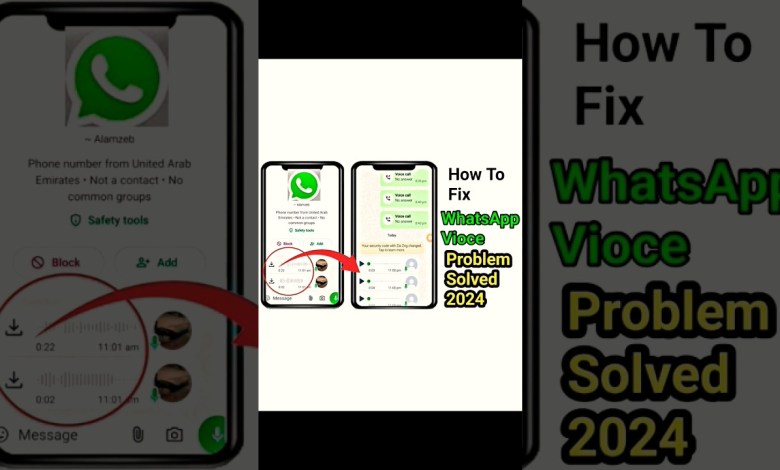 How to Fix Whatsapp Voice aproblem Solved 2024 How to Fix Whatsapp Voice aproblem Solved 2024