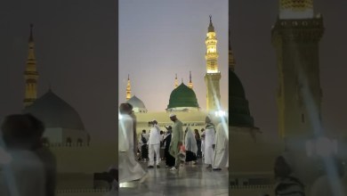 Alhumdulilah | #shortvideo #viralvideo #viralshorts Alhumdulilah | #shortvideo #viralvideo #viralshorts