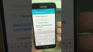 15 ноября 2023 г. 15 ноября 2023 г.