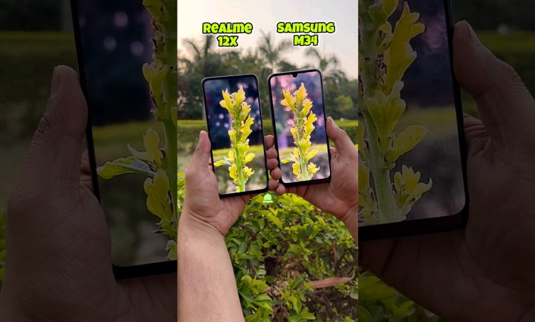 Realme 12X vs Samsung M34 Camera Test #shorts Realme 12X vs Samsung M34 Camera Test #shorts