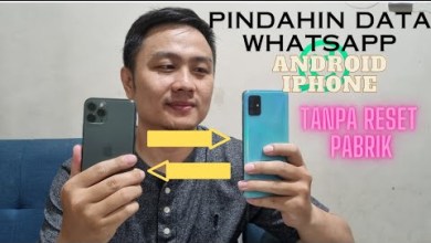 How to Transfer WhatsApp from Android to iPhone Without How to Transfer WhatsApp from Android to iPhone Without