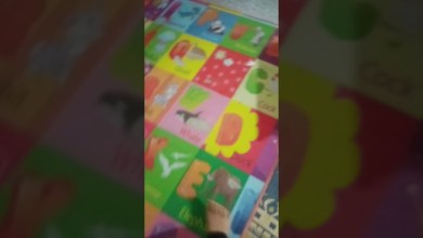 21 พฤษภาคม ค.ศ. 2024 21 พฤษภาคม ค.ศ. 2024