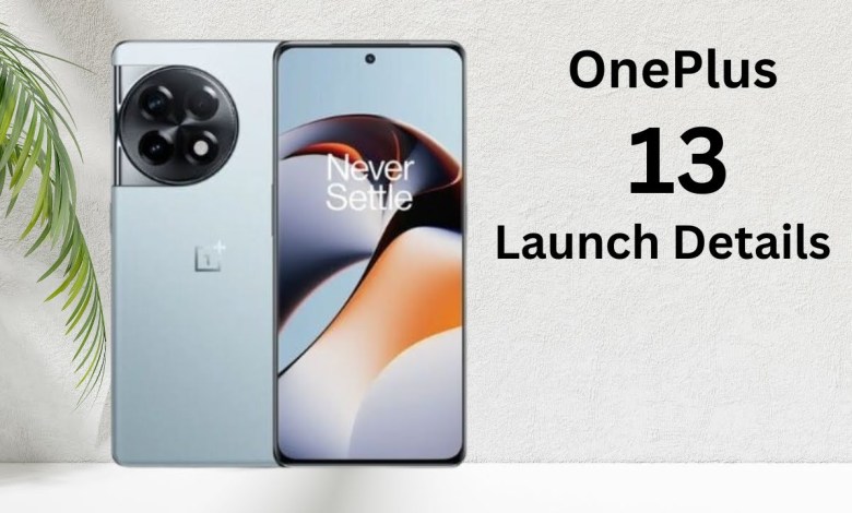 OnePlus 13 – MagSafe Accessories and Curved OnePlus 13 – MagSafe Accessories and Curved