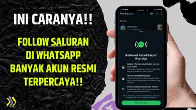 How to Follow Channels on Whatsapp How to Follow Channels on Whatsapp