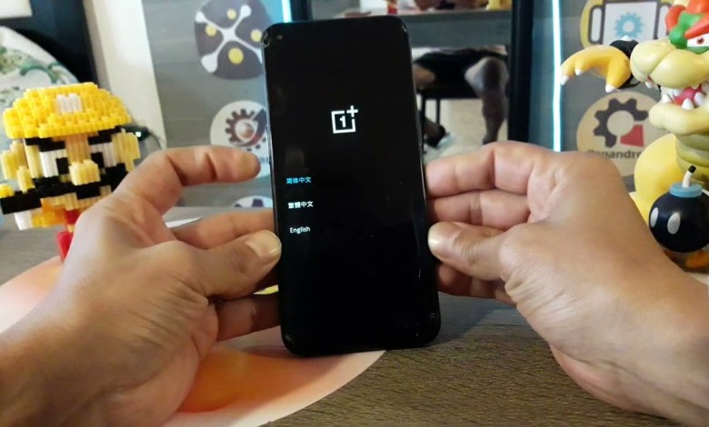 how to format OnePlus Nord N10 delete pin, how to format OnePlus Nord N10 delete pin,