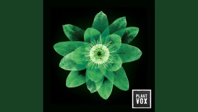 Alive (Radio Edit) Alive (Radio Edit)