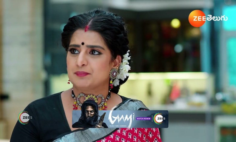 Jagadhatri Telugu | Ep – 207 | Webisode | Apr, 17 2024 Jagadhatri Telugu | Ep – 207 | Webisode | Apr, 17 2024