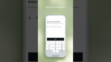 How to reset the passcode of your S1 X+ How to reset the passcode of your S1 X+