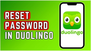 How to Reset Password in Duolingo? 2024 How to Reset Password in Duolingo? 2024