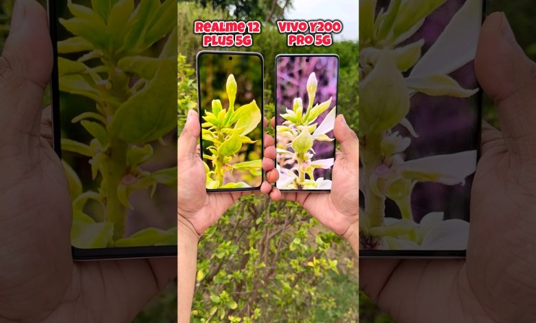 Realme 12 Plus 5g vs Vivo Y200 Pro 5g Camera Test Realme 12 Plus 5g vs Vivo Y200 Pro 5g Camera Test